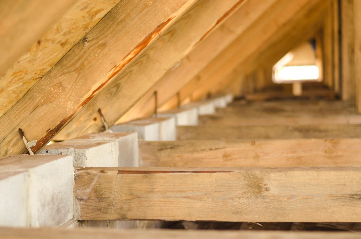 Charpentier à Hyères