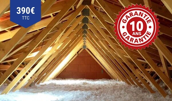 Votre traitement de charpente à prix imbattable !