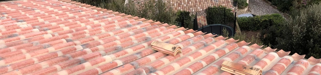 Entretien de toiture : que faire au printemps et en automne ?