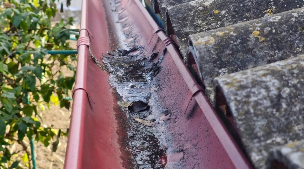 Fuite de toiture : que faire en urgence ? Guide pas à pas (Nice, 06 & Var)